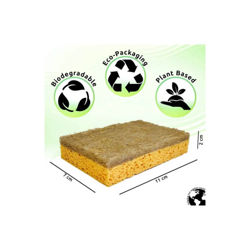Coconut Cellulose Sponge (Natural, Compostable, Eco-Friendly) - image 2