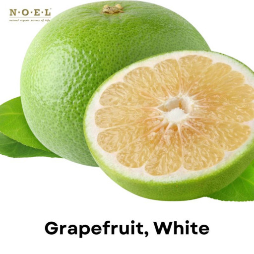 Grapefruit, White Essential Oil U.S.A. - image 2