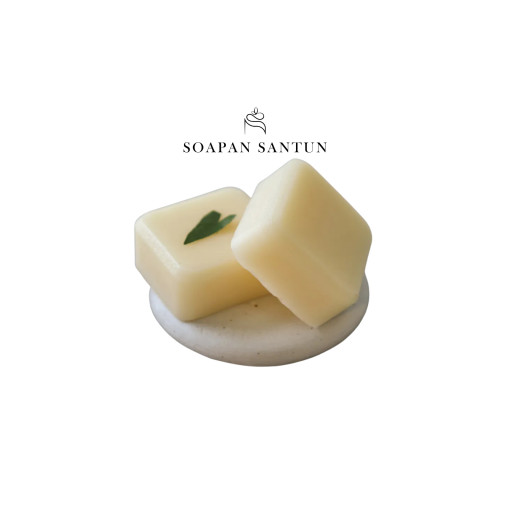 Damage Repair Conditioner Bar 50g - image 1