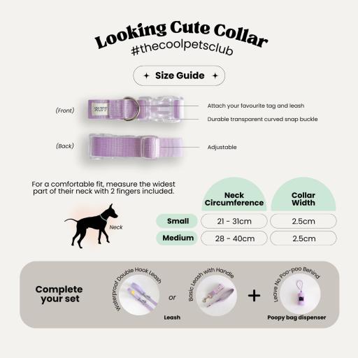 Looking Cute Collar - image 2