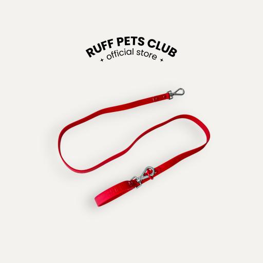 Waterproof Double Hook Leash - image 4
