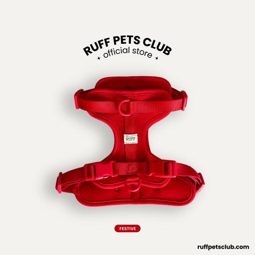 Festive Harness - image 1