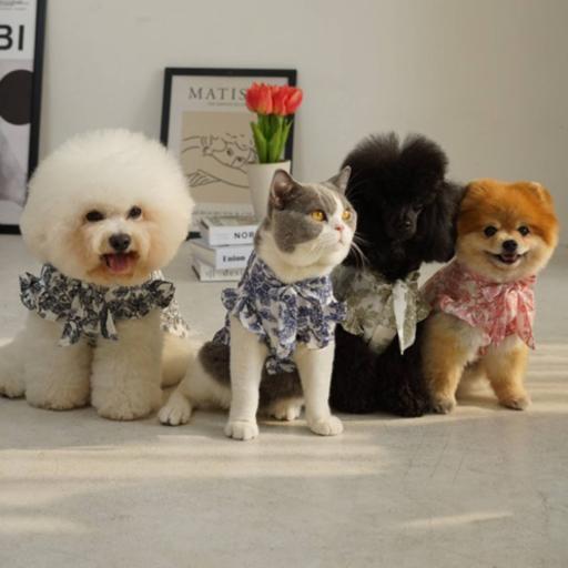 [Pawlovin] Maya Top - image 5