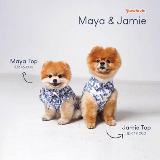 [Pawlovin] Maya Top - image 4