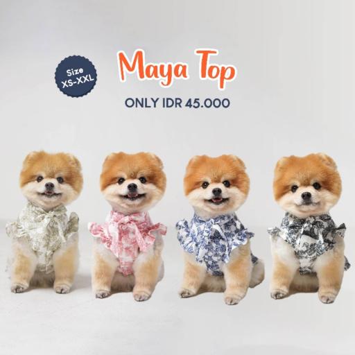 [Pawlovin] Maya Top - image 2