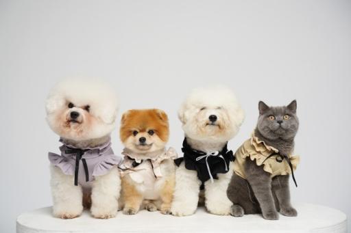 [Pawlovin] Yuna Top - image 3