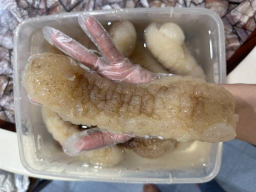Wild sea cucumber (野生秃参海参) 1kg - image 2