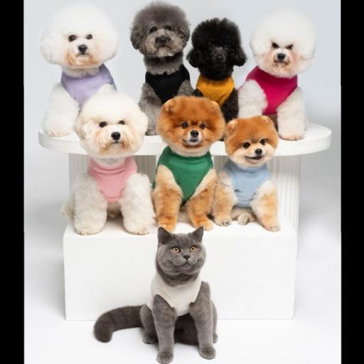 [Pawlovin] Everyday Sleeveless Top - image 5