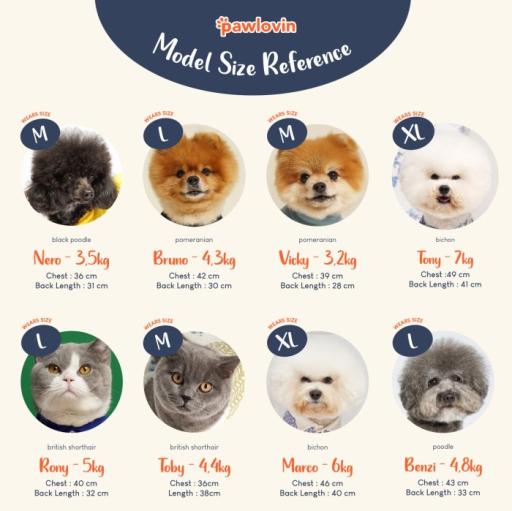 [Pawlovin] Daily Top - image 10