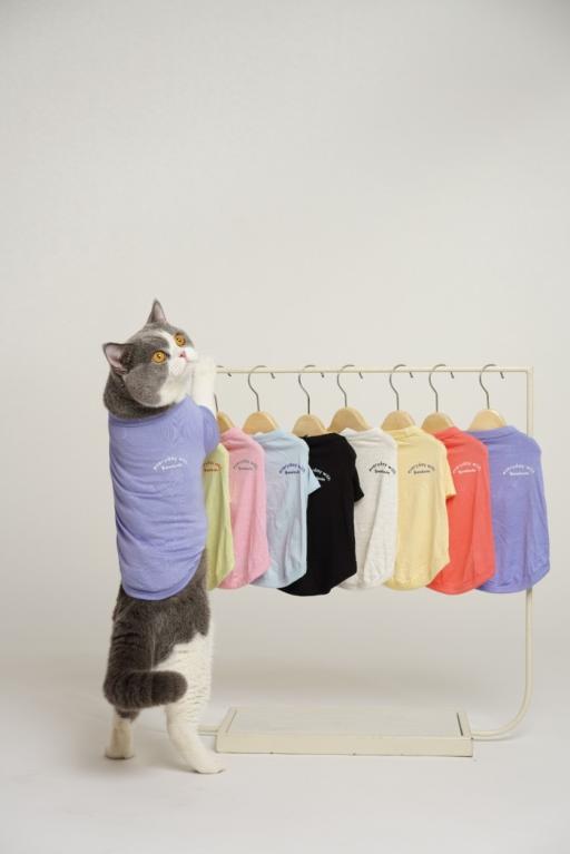 [Pawlovin] Daily Top - image 8