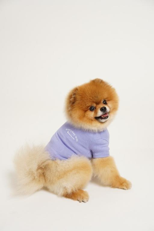 [Pawlovin] Daily Top - image 6