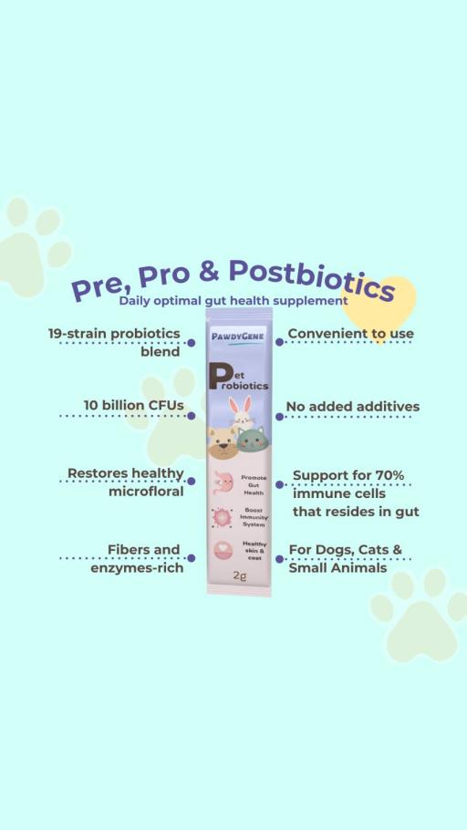 *Trial*PawdyGene Pet Pre & Probiotics (Gut Health/Skin & Coat Health/Boost Immunity System/General Health)*SG Product* - image 2