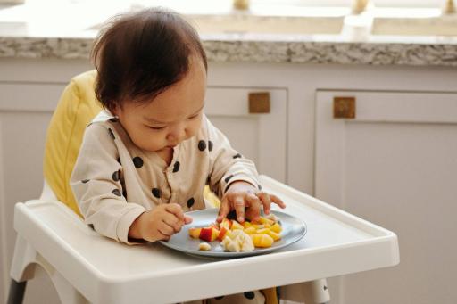 Introducing Allergenic Foods (recording) - image 2
