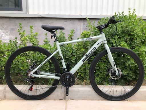Wilesco R900 hybrid bike - image 1