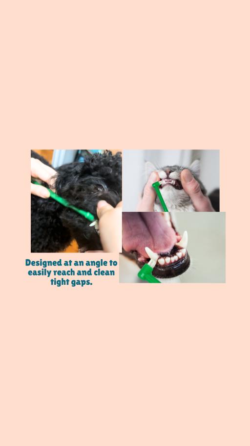FITPET Plago Fang Toothbrush suitable for small Cats & Dogs from Korea [SG Authorized Distributor & Stock] - image 2