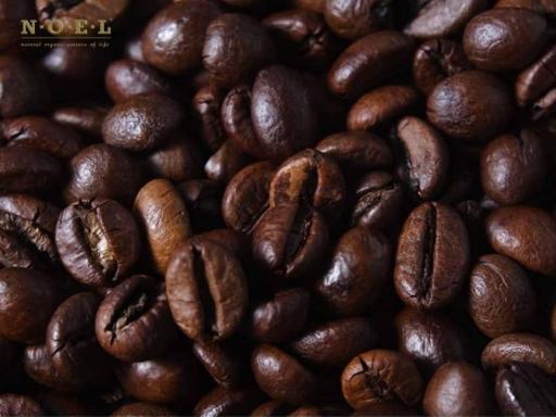 Coffee CO2 (Organic) ITALY - image 2