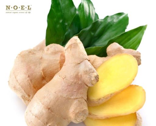 Ginger Fresh Essential Oil (Organic) MADAGASCAR - image 2