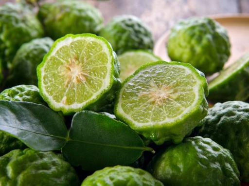 Bergamot (Organic) ITALY Essential Oil - image 2