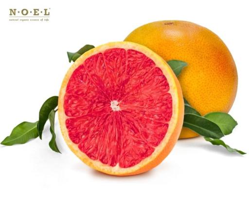Grapefruit (Organic) U.S.A. Essential Oil - image 2