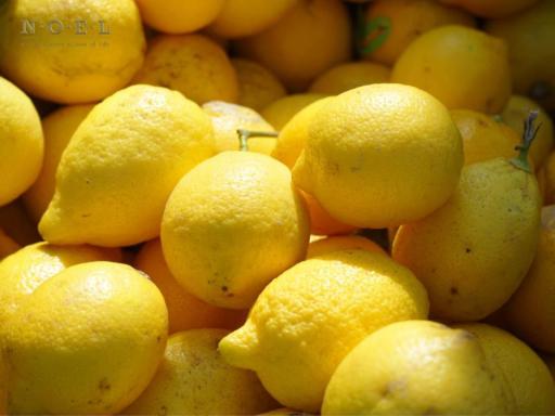 Lemon, Distilled Essential Oil (Organic) ITALY - image 2