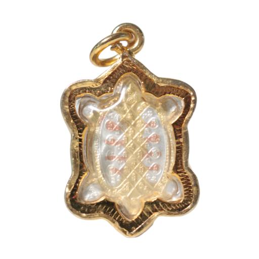 Magic Turtle Mini - (Must have) - https://hitpay-production.s3.ap-southeast-1.amazonaws.com/products/9e3cea2aedbe4adcb5909e981eedf368.jpeg