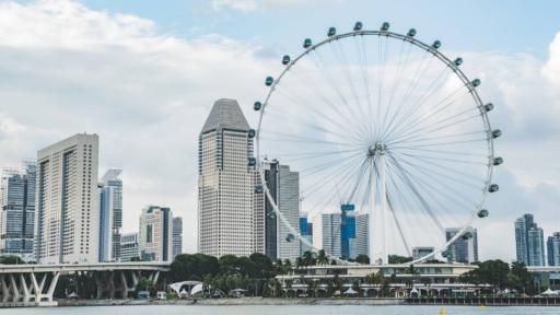 Singapore Flyer + Time Capsule - image 1