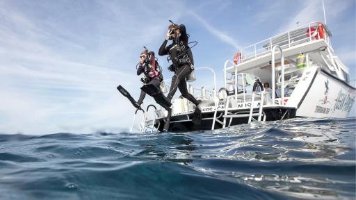 PADI® ReActivate / Scuba Refresher - image 2