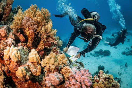 PADI® Coral Reef Conservation Specialty - image 1