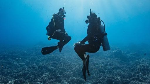 PADI® Peak Performance Buoyancy (PPB) Specialty - image 2