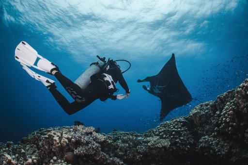 PADI® Peak Performance Buoyancy (PPB) Specialty - image 3