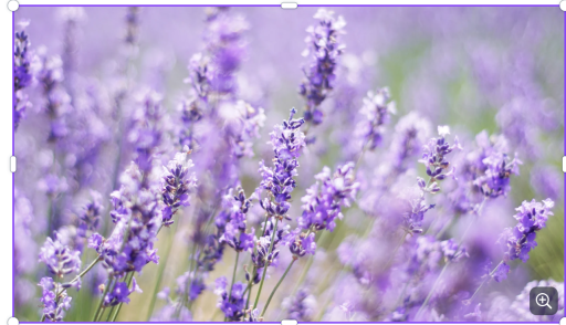 ByOrgMeans Lavender Essential Oil Organic 10ml - image 3