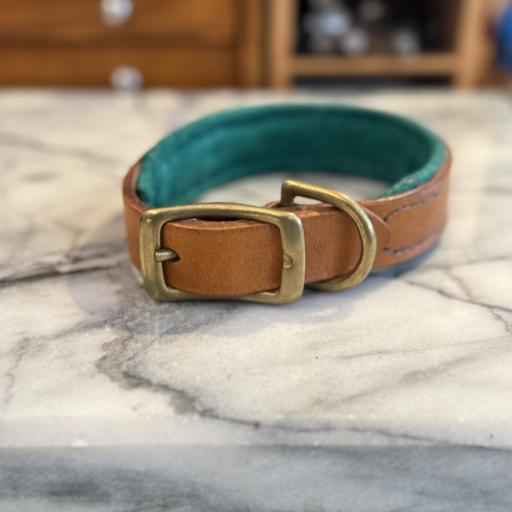Pet collar padded- tan - image 1