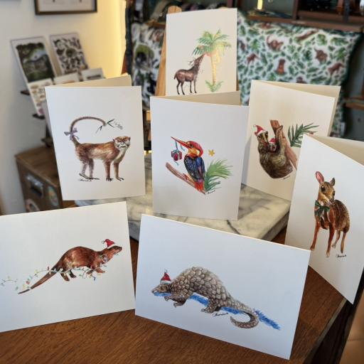 Christmas Greeting cards- Singapore wildlife - image 1