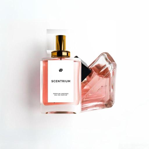PARADOX - image 3