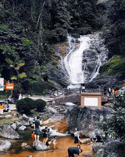 Cameron Highland Day Tour - image 2