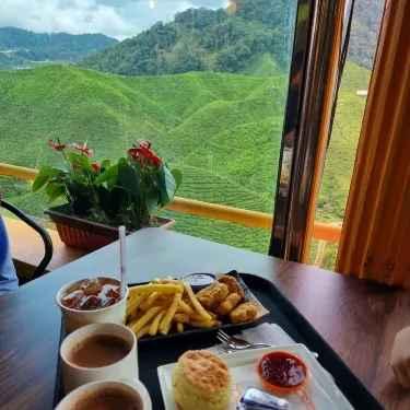 Cameron Highland Day Tour - image 4
