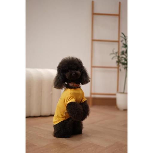 [Pawlovin] Daily Top - image 5