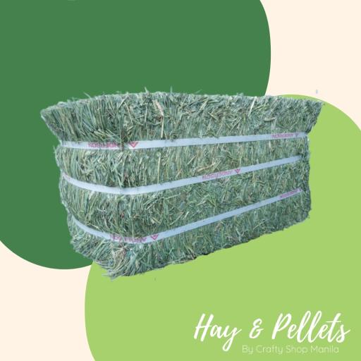Timothy Hay | Anderson 1st Cut | 5kg Minibale - image 1