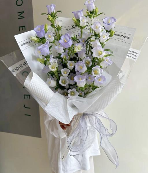 Bellflower Waltz 铃兰轻舞 - image 2