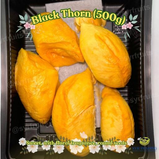 Black Thorn Durian (500g/Box) - image 1