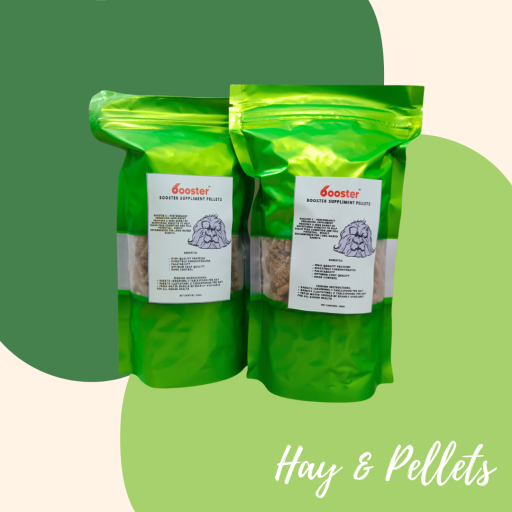 Booster S Supplemental Pellets For Rabbits and Guinea Pigs 300g - image 1