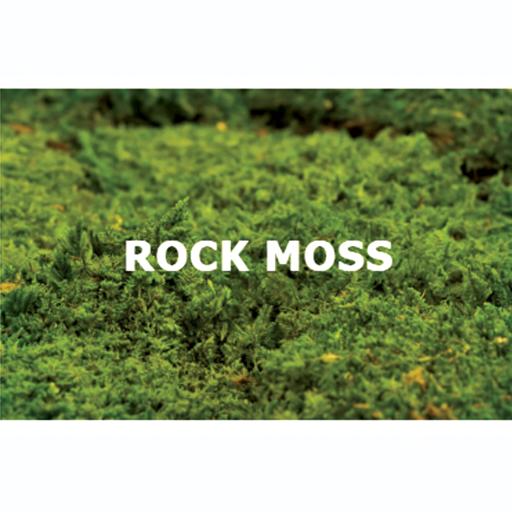 Rock Moss - image 1