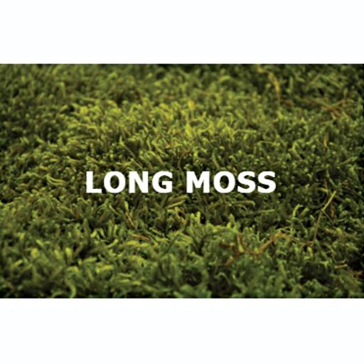 Long Moss - image 1