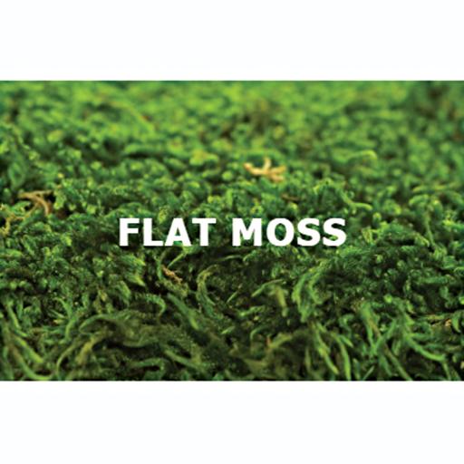 Flat Moss - image 1