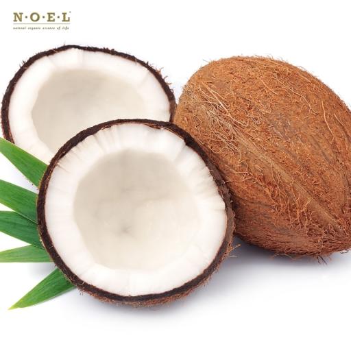 Coconut Pulp CO2 Total (Organic) PHILIPPINES - image 2