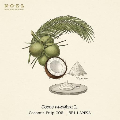 Coconut Pulp CO2 Total (Organic) PHILIPPINES - image 1