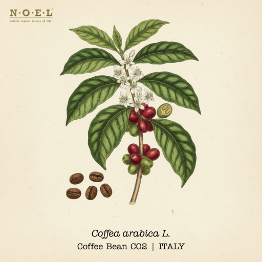 Coffee CO2 (Organic) ITALY - image 1