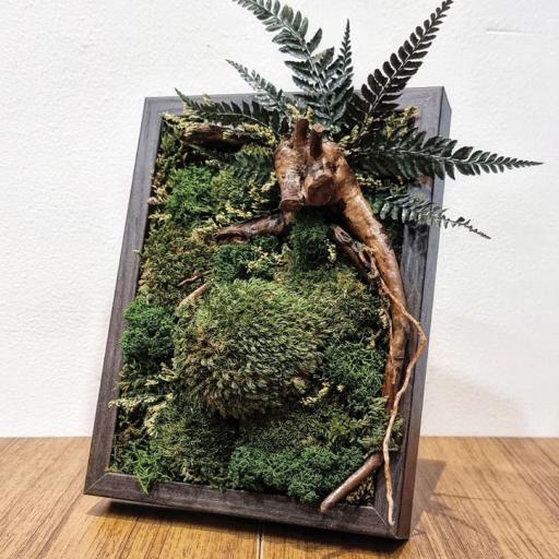 Preserved Nature - image 4