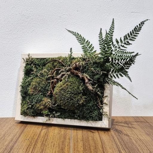 Preserved Nature - image 1