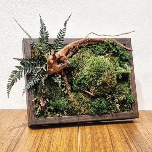 Preserved Nature - image 3